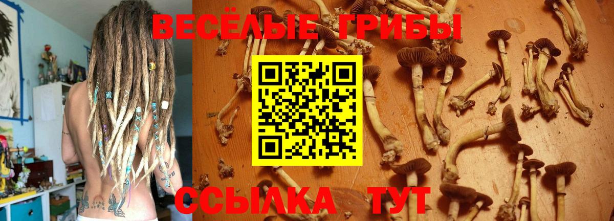 Псилоцибиновые грибы Cubensis  Вход с VPN  Надым  Галлюциногенные грибы мицелий 